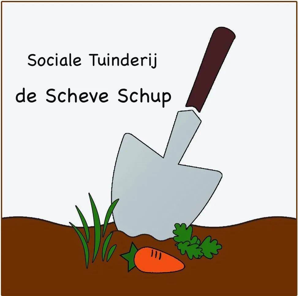 scheve schup